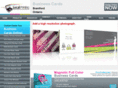 brantfordbusinesscards.com