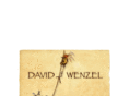 davidwenzel.com