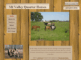 mtvalleyqtrhorses.com