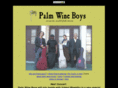 palmwineboys.com