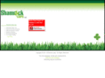 shamrockcups.com