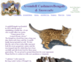 avondellcats.com