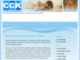 carpetcleaningking.co.uk