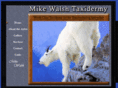 mikewalshtaxidermy.com