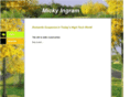 mickyingram.com