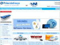 princeinfosys.com