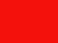 rebmann.ch