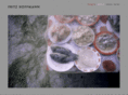 fritzarchive.com