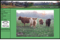 thistlebraefarm.com