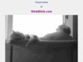 winkblink.com
