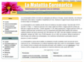 stentmedicato.com