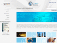 daviengg.com