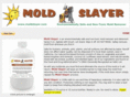 moldslayer.com