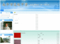npgjzx.com