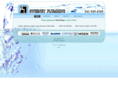 sweeneyplumbinginc.com