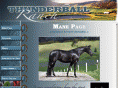 thunderballranch.com