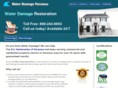 waterdamageparamus.com