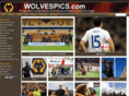 wolvespics.com