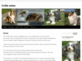 colliesales.com