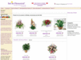 floristpoland.com