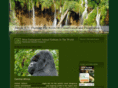 junglejen.com