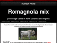 romagnolancva.com