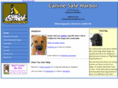 caninesafeharbor.com