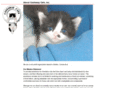 castawaycats.com