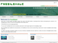 fossilshale.com