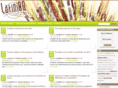 latinioo.com