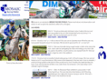 mosaicracing.com