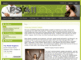 ps-411.com