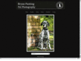 bpanting.com