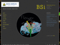 brainscienceinstitute.org