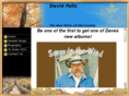 davidfalls.net