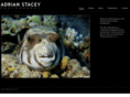 adrianstacey.com
