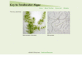 algaekey.com