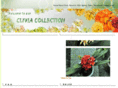 cliviacollection.com