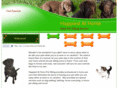 amauipetsitter.com