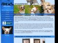 andesanimalhospital.com