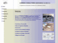 ccas-consulting.com