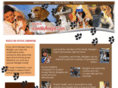 ilovemybeagle.com