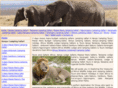 kenyacampingtours.com