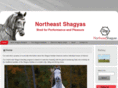 northeastshagyas.com