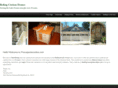 procarpenteronline.com