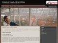 consultantcalifornia.com