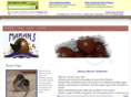maranschickenclubusa.com
