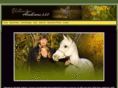 yellowtreearabians.com