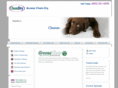 accesschemdrycarpetcleaning.com