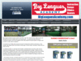 bigleaguesacademy.com